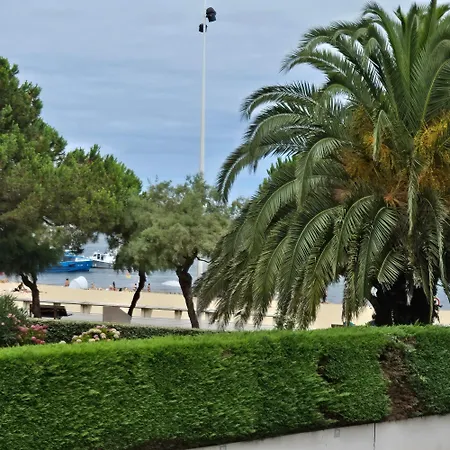 Studio Face Au Bassin Plein Centre D Arcachon Exterior photo